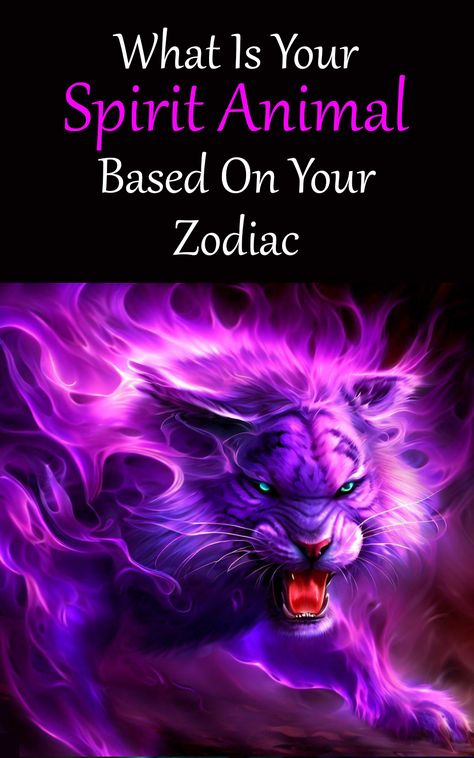 Zodiac Signs Spirit Animal, Native Zodiac Signs, Spirit Animals By Birth Month, Spirit Animal Zodiac Signs, Zodiac Spirit Animals, Virgo Animal Zodiac, Aquarius Spirit Animal, Virgo Spirit Animal, Zodiac Signs As Cats