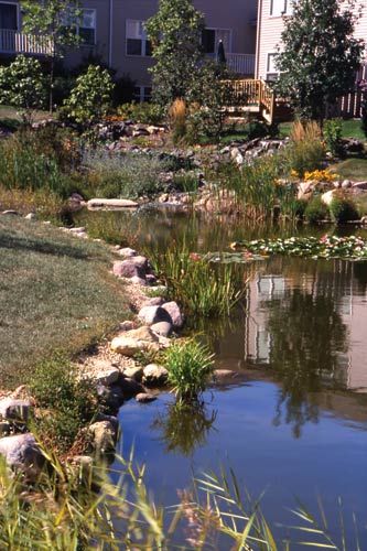 Ornamental and Retention Ponds: Bridging the Gap Between Functional and Beautiful Retention Pond Landscaping, Homestead Landscaping, Pond Aesthetic, Pond Bridge, Retention Pond, Aquascape Design, Backyard Farm, Small Water Features, Farm Family