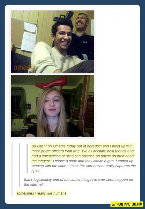 Faith In Humanity Restored, Humanity Restored, Cute Stories, Faith In Humanity, Tumblr Funny, Funny Posts, Funny Cute, Really Funny, I Laughed