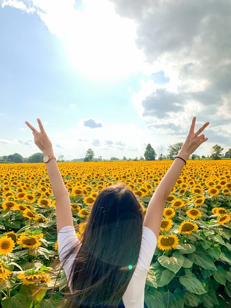 Poses Korean, Astro Jinjin, Mexican Boys, Field Of Sunflowers, Fairy Photoshoot, Cartoons Dp, Hipster Background, Lover Girl, Royal Aesthetic