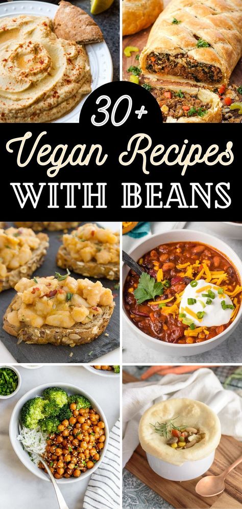 Find your favorite Vegan Recipes with beans, featuring everything from filling vegan meals, to vegan soups and the perfect vegan appetizers to take to your next event. This Vegan Bean recipe list is full of well-rounded recipes featuring many different types of beans prepared in various ways. Most of the recipes are well suited to substitute your favorite type of beans if need be. Healthy Plant Based Dinner Recipes, Vegan Diet For Diabetics, Vegan Navy Bean Recipes, Vegan Recipes With Beans, Basic Vegan Meals, Bean Puree Recipes, Filling Vegan Meals, Veganized Recipes, Recipes With Beans