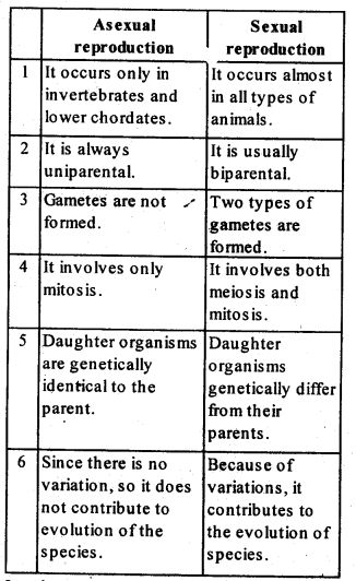 Reproduction In Organisms, Cell Biology Notes, Class 12 Notes, Asexual Reproduction, Biochemistry Notes, Biology Diagrams, Learn Biology, Study Biology, Biology Classroom