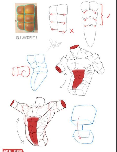 100k Followers, 얼굴 드로잉, Anatomy Tutorial, Body Drawing Tutorial, Human Anatomy Drawing, Human Anatomy Art, Anatomy Sketches, Body Reference Drawing, Anatomy For Artists