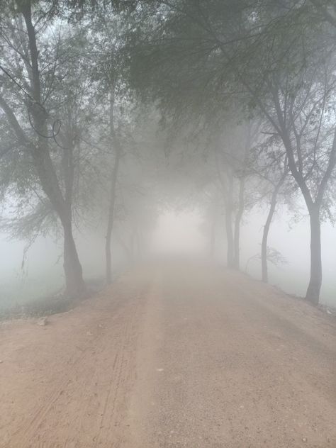 Village Snap, Winter Dpz, Village Pic, Village Morning, Punjab Village, Diwali Crackers, Overlay Nails, Stylish Boy, Foggy Weather