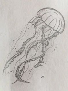 Jelly Fishes Drawing, How To Draw Realistic Jellyfish, Box Jellyfish Drawing, Jelly Fish Drawing Ideas, Jelly Fish Drawing Color, Drawing Ideas Jellyfish, Jellyfish Drawing Aesthetic, Star Fish Drawings, Sketches Jellyfish