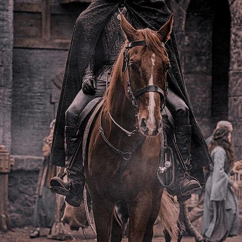 Nobleman Aesthetic, Medieval Horse, Medieval Aesthetic, Yennefer Of Vengerberg, Royalty Aesthetic, The Last Kingdom, Geralt Of Rivia, Horse Aesthetic, She Wolf