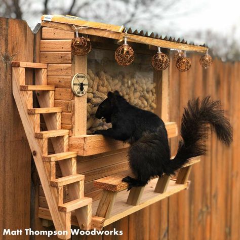 Squrriel House, Squarl Feeder, Diy Squirrel Cage Ideas, Squirrel Nut Bar, Squrriel House Ideas, Squirrel House Ideas, Squirrel Playground Ideas, Homemade Squirrel Feeder, Squrriel Feeder Ideas Diy