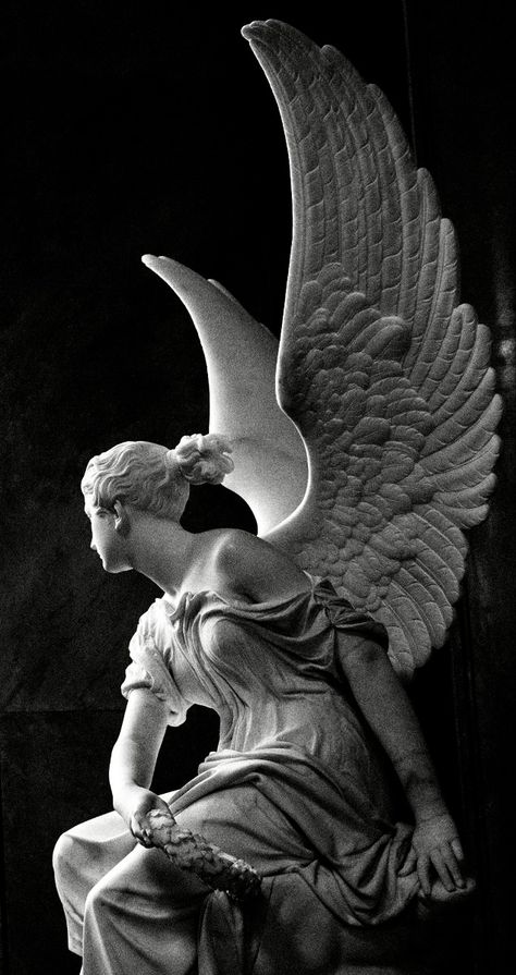 Angel Sculpture Art, Angel Statues Sculpture, Cemetery Statues, Ancient Greek Sculpture, Anatomy Sculpture, Classic Sculpture, Greek Statues, Angel Statue, Rennaissance Art