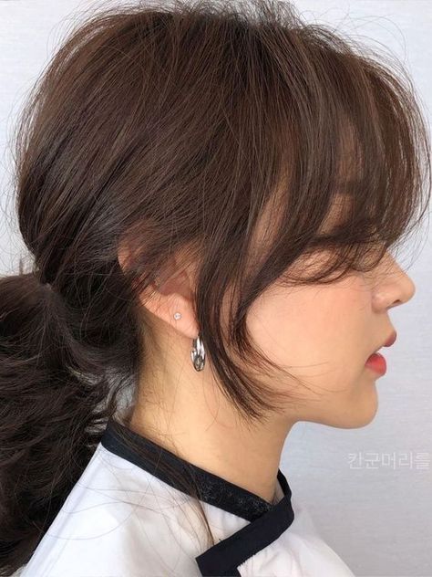 Korean Curtain Bangs, Long Hair Cuts Straight, Bangs Style, Bangs Styles, Side Bangs Hairstyles, Korean Short Hair, Brown Hair Looks, Curly Short, Bangs With Medium Hair