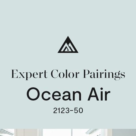 Benjamin Moore on Instagram: "Need to relax? Choose a color palette anchored by an inherently soothing hue, like Ocean Air 2123-50. Swipe through to see our pairing choices for this ultra-relaxing blue-green, then find your Zen with a color sample, available online or at your locally owned store. #BenjaminMoore #Paint #Home" Ocean Air Benjamin Moore, Benjamin Moore Ocean Air, Nimbus Gray, Paint Color Pallets, Monochromatic Room, Color Combinations Paint, Ocean Air, Benjamin Moore Colors, Paint Colors For Living Room