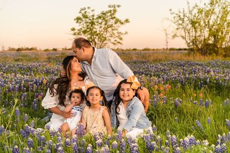 Blue Bonnet Photoshoot, Bonnet Photoshoot, Blue Bonnet, Photoshoot Family, A Field Of Flowers, Field Of Flowers, Blue Bonnets, Flower Field, Family Photoshoot