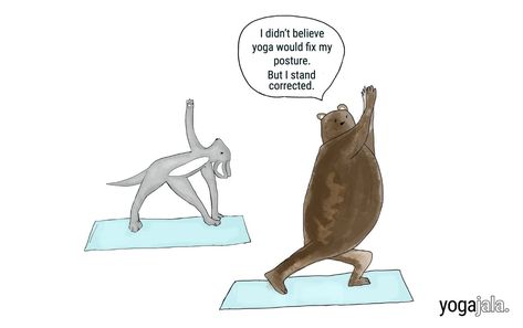 Yoga Jokes Funny, Yoga Puns Funny, Before Yoga After Yoga Funny, Yoga Memes Humor, Yoga Memes Funny, Yoga Funny Humor, Funny Yoga Quotes, Funny Yoga Pictures, Yoga Jokes