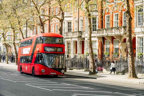 The Number 11, London Sightseeing, Decker Bus, Number 11, Double Decker Bus, Trafalgar Square, Bus Travel, London Bus, The City