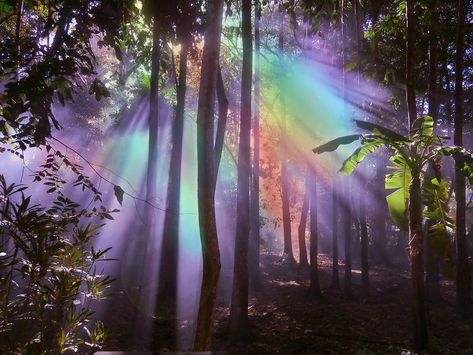 Soothing Images, Beams Of Light, Ethereal Art, Blender 3d, Nature Aesthetic, In The Forest, Infj, The Forest, Pretty Pictures