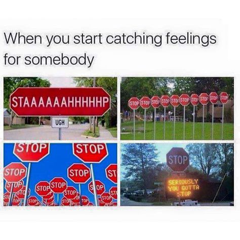 When you catch yourself starting to have feelings for someone Catching Feelings, Lds Memes, Meme Page, Work Quotes Funny, Catch Feelings, Trendy Quotes, Work Humor, Work Quotes, Bones Funny