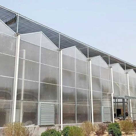 Multi-span greenhouse actually is a kind of super large greenhouse. It connects independent single greenhouse together by means of scientific methods, reasonable design, excellent material. It can make full use of space, realize large- scale machinery or automation control, and save the surrounding material, reduce the cost. Covering material: poly carbonate greenhouse, glass greenhouse, film greenhouse, etc. Size and height can be designed based on the land characteristics. Plexiglass Indoor Greenhouse, Clear Corrugated Greenhouse, Unheated Greenhouse Growing, Greenhouse Glass, Greenhouse Observatory, Harbour Freight Greenhouse, Hydroponic Grow Systems, Greenhouses For Sale, Tunnel Greenhouse