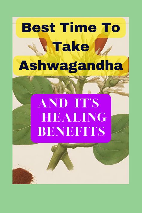 Herbs For Health Ashwagandha Benefits, Detoxifying Food, Benefits Of Vitamin A, Top Essential Oils, Cramps Relief, Boost Energy Naturally, Be Calm, Adaptogenic Herbs, Improve Energy