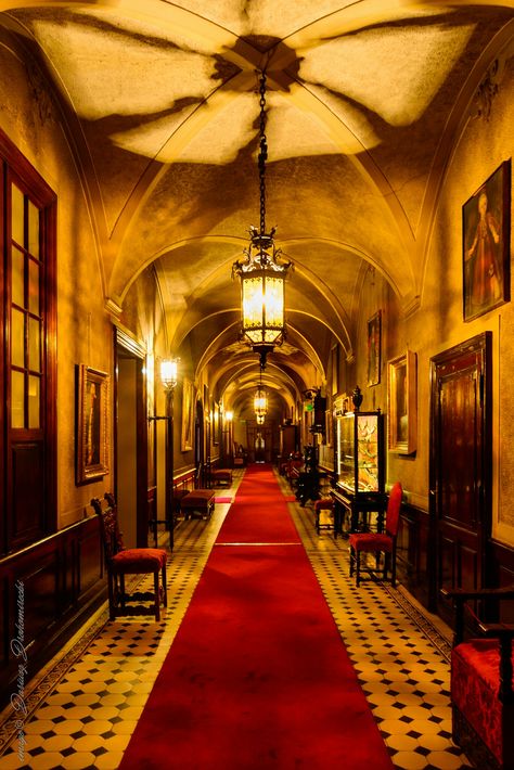 Fancy Hallway, Hotel Corridors, Hollywood Tower Hotel, University Of Paris, Bollywood Theme, Hotel Corridor, Hotel Hallway, Vintage Theatre, Architecture Life