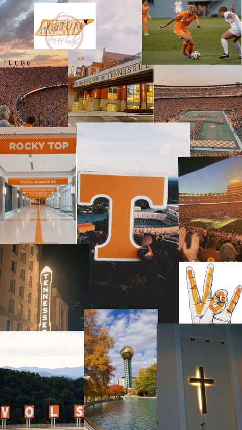 Collage of the college of the university of Tennessee Tennessee College Football, Univ Of Tennessee, Rocky Top Tennessee, Tennessee Volunteers Football, Dream Collage, University Of Tampa, Go Vols, Tennessee Football, Rocky Top