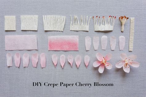 Learn how to make these delicate, pale pink blossoms in this DIY Crepe Paper Cherry Blossom Tutorial! My trick to realistic stamen and pollen? Chili powder! How To Make Crepe Paper Flowers, Cherry Blossom Decorations, Crepe Paper Cherry Blossoms, Crepe Flowers Diy, Diy Paper Cherry Blossom Flowers, Crepe Paper Flower, How To Make Sakura Paper Flowers, Cherry Blossom Crepe Paper, Sakura Flower Paper Craft