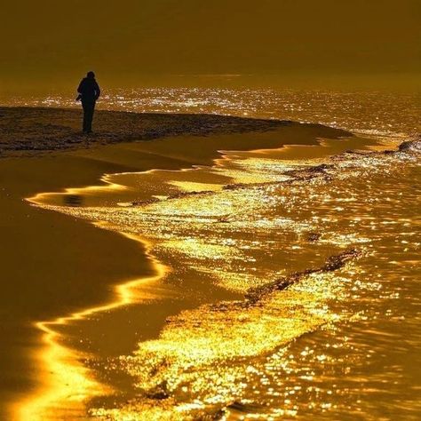 Cabin 7, Walking On The Beach, Gold Aesthetic, Orange Aesthetic, Liquid Gold, Yellow Aesthetic, Mellow Yellow, Pure Gold, Golden Hour