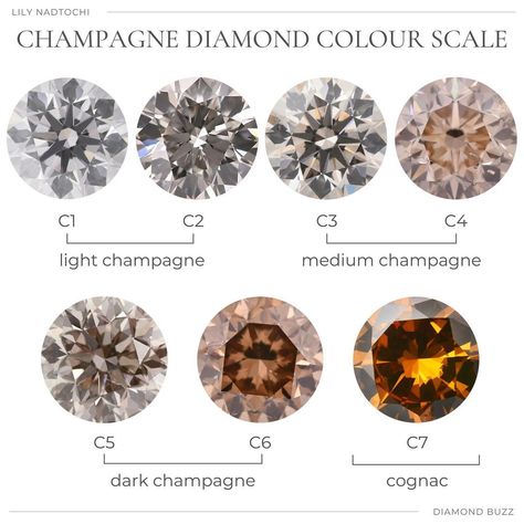 Colour Scale, Diamond Scale, Brain Storming, Diamond Color Scale, Jewelry Knowledge, Brown Diamonds, Cognac Diamonds, Diamonds Jewelry, Jewelry Drawing