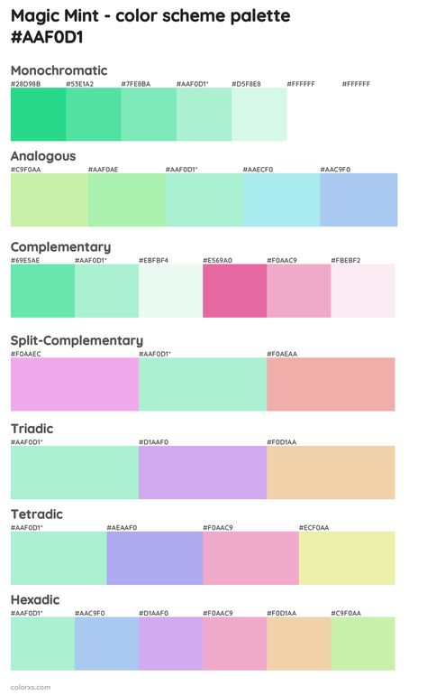 Magic Mint color palettes and color scheme combinations What Colors Go With Mint Green, Mint Green Complimentary Colors, Mint Pallete Color, Mint Color Palette Colour Schemes, Mint Green Matching Colours, Mint Color Combinations, Mint Green Color Combinations, Mint Colour Palette, Mint Paint Colors