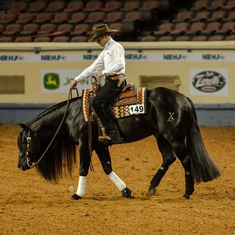 Ranch Horses Working, Reined Cow Horse, Western Reining Horse, Reining Horses Photography, Western Pleasure Riding, Horse Disciplines, Throughbred Horses, Western Dressage, Roping Horse