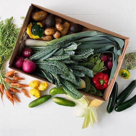 6 Produce Box Subscriptions For Fresh Veggies Delivered Straight To Your Door Fresh Produce Photography, Fresh Produce Packaging, Kitchen Shoot, Fresh Produce Market, Vegetable Delivery, Veggie Box, Package Photography, Fruit Hampers, Box Subscriptions