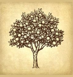 Tree Exhibition, Blossom Tree Tattoo, Cookie Vector, Cupcake Vector, Background Retro, Old Paper Background, Tree Vector, Tree Tattoo Designs, Tree Sketches