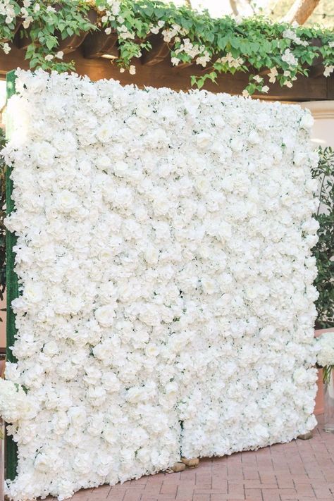 Luxury white rose and hydrangea floral wall backdrop for photos for cocktail hour. Full flower wall that's all white. The Resort at Pelican Hill wedding by Cavin Elizabeth Photography and Details Details Floral Wall Backdrop, Wood Wedding Decorations, Pelican Hill Wedding, Pelican Hill, Event Management Services, Hill Wedding, Rose Wall, Venue Decor, Floral Backdrop