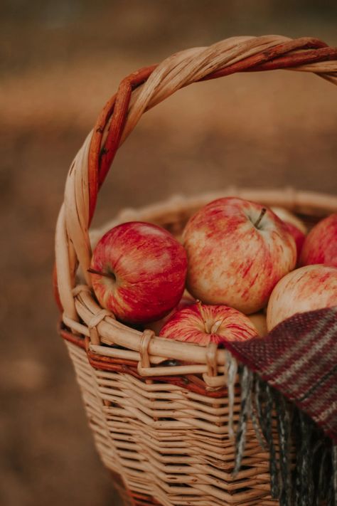 Apples In A Basket, Fruit Photography, Apple Apple, Fall Apples, Apple Harvest, Harvest Season, Tree Free, Adobe Photoshop Lightroom, Apple Tree