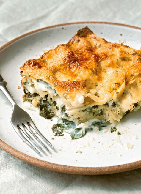 Is Cooking Together All That Hard? - Heated Green Lasagna, Salmon Lasagna, Homemade Ravioli, Spinach Lasagna, Fast Dinners, Grain Foods, Eat Smart, Cooking Together, Pizza Pasta