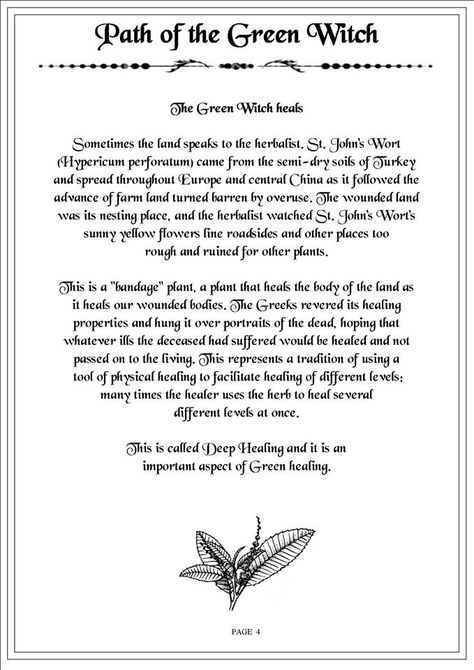 Path of the Green Witch 4 Witch Watch, The Green Witch, Which Witch, Green Witchcraft, Hedge Witch, Wicca Witchcraft, Pagan Witch, Herbal Magic, Spells Witchcraft