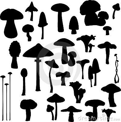 Different Mushrooms, Mushrooms Illustration, Variety Food, Fairy Jars, Nursery Mural, Silhouette Painting, Silhouette Images, Tree Tattoo, Silhouette Art