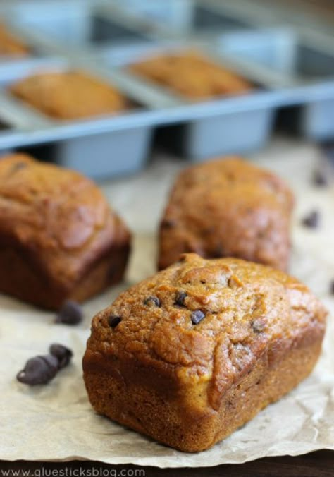 Chocolate Chip Mini Loaves, Mini Loaf Recipes, Mini Loaf Pan Recipes, Mini Breads, Loaf Pan Recipes, Mini Loafs, Mini Bread Loaves, Chocolate Pumpkin Muffins, Best Pumpkin Bread Recipe