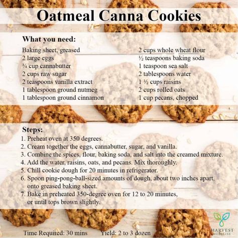 Green Treats, Marajuana Recipes, Infused Food, Cannabutter Recipe, Cookies Oatmeal, Delicious Oatmeal, Cannibis Recipes, Oat Crumble, Edible Food