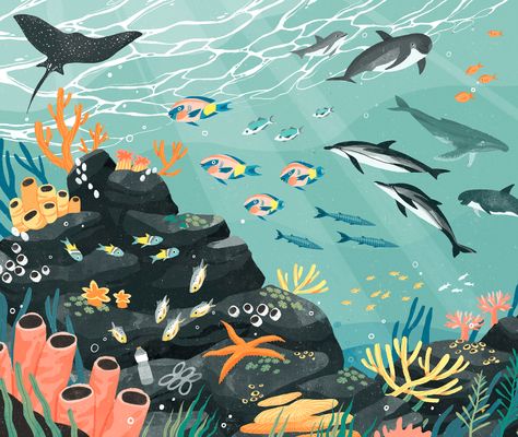 Lydia Hill on Behance World Ocean Day, Ocean Illustration, Sea Illustration, The 50 States, Storyboard Artist, Surf Art, Landscape Illustration, Kids Book, Childrens Illustrations