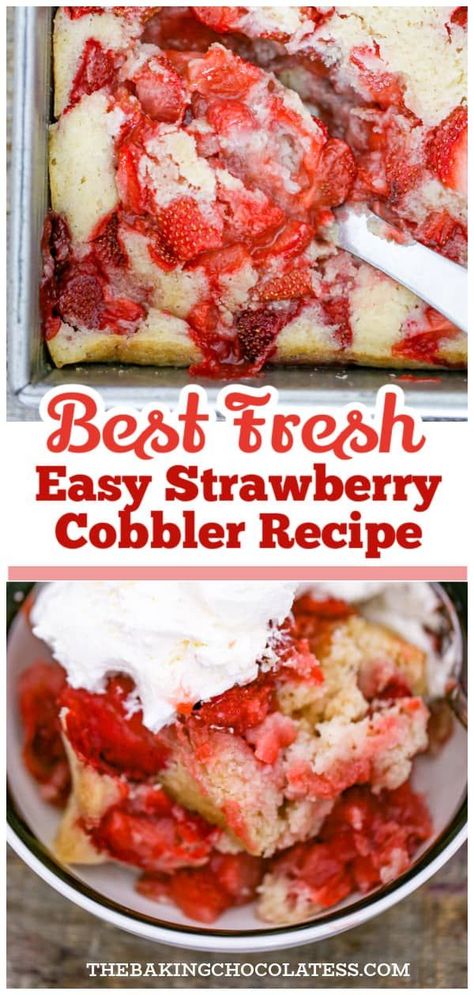 Dive into a world of juicy, fresh strawberries and warm, buttery cobbler with this Best Fresh Strawberry Cobbler recipe! This traditional dessert is perfect for all your fall dessert cravings; tantalizing your taste buds while paying homage to a classic just in time for the season. Fresh Strawberry Cobbler, Strawberry Cobbler Recipe, Strawberry Cobbler Recipes, Cobbler Crust, Easy Strawberry Desserts, Dessert Cravings, Fresh Strawberry Recipes, Strawberry Cobbler, Cobbler Topping