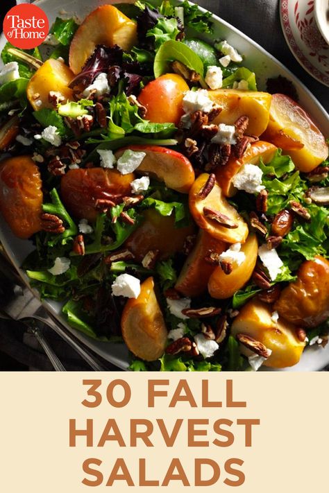 30 Fall Harvest Salads to Enjoy All Season Christmas Eve Lunch Ideas, Christmas Eve Lunch, Best Thanksgiving Sides, Recipes For Christmas Dinner, Fall Salad Recipes, Fall Salads, Autumn Salad Recipes, Wild Rice Salad, Fall Salad