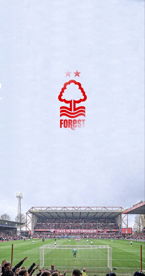 Nottingham Forest Wallpaper, Forest Wallpaper Iphone, Manchester United Art, Nottingham Forest Fc, Brentford Fc, Football Pics, Memphis Depay, Football Wallpapers, Roman Sculpture