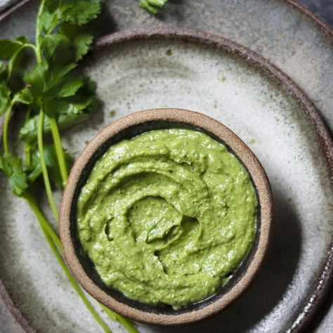 Vegan Avocado Recipes, Vegetarian Sauces, Indian Chutney, Coriander Chutney, Almond Milk Yogurt, Cilantro Chutney, Full Fat Yogurt, Chutney Recipes, Months Of The Year