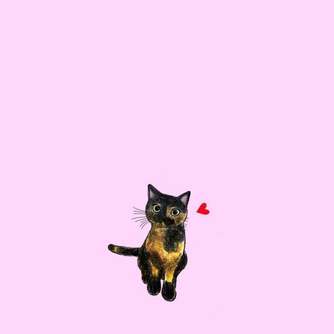 Tortie Cat, Cat Phone Wallpaper, Tortoise Cat, Tortoise Shell Cat, Silly Cats Pictures, Cat Wallpaper, Cat Illustration, Cat Tattoo, Cat Drawing