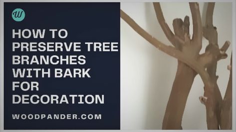 Preserve Tree Branches With Bark: Transforming Spaces Tree Bark Crafts, 2024 Wedding, Tree Bark, Natural Elements, Indoor Decor, Tree Branches, Wedding Inspo, Diy Decor, Woodworking