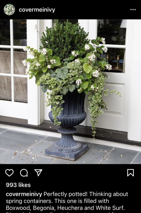 Urn Planters Front Door Porch, Outdoor Urns Front Entry, Front Entry Planter Ideas, Urn Planters Front Door, Front Door Pots Plants Entrance, Boxwood Planters, Porch Urns, Spring Planters, Front Door Plants