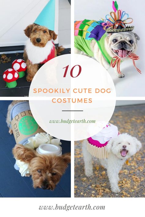 Looking for an adorable costume for dogs? Check out these 10 Spookily Cute Dog Costumes here! #HalloweenCostumes #DogHalloweenCostumes #HalloweenCostumesforDogs #Costumes #CostumesforDogs #dogs #Halloween #DIYHalloween #DIYCostumes Costume For Dogs, Cute Dog Costumes, Dogs Halloween, Spooky Halloween Costumes, Diy Dog Costumes, Dog Diy, Dog And Puppy, Pet Halloween Costumes, Costumes For Halloween