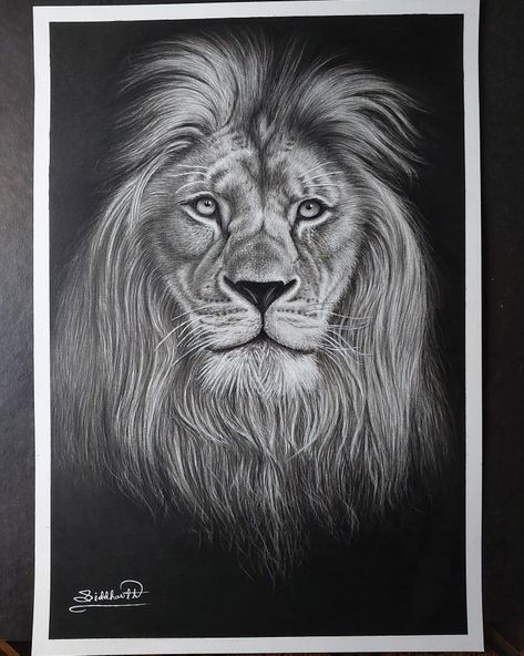 Hyper realistic pencil sketch Hyper Realistic Sketches, Realistic Lion Drawing, King Sketch, Hyper Realistic Drawings, Realistic Pencil Sketch, Fire Lion, Lion Sketch, Drawing Books, Grey Scale