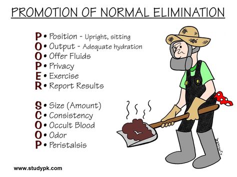 Nursing Mnemonics: Promotion of Normal Elimination Nursing Elimination, Nursing Hacks, Nursing School Life, Nursing Instructor, Nurse Teaching, Nursing Cheat, Nursing Information, Nursing Board, Nursing Study Guide