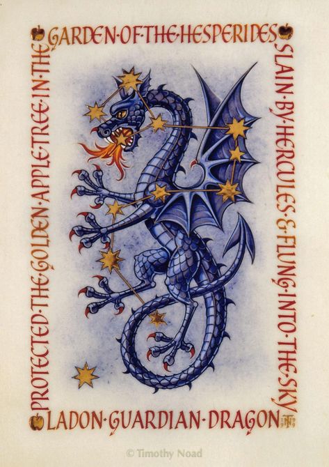 Constellation Draco, Dragon Medieval, Medieval Dragon, Medieval Artwork, Etiquette Vintage, Cool Dragons, Constellation Tattoos, Dragon Illustration, Medieval Manuscript