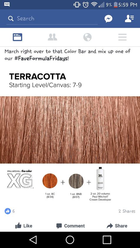 Hair Color Formulas Paul Mitchell, Paul Mitchell Toner Formulas, Terracotta Hair Color, Paul Mitchell Color Formulas, Paul Mitchell Color Chart, Toner Recipes, Color Formulations, Color Hair Ideas, Color Melting Hair